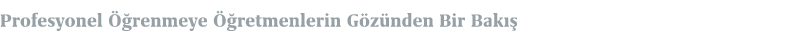Profesyonel  renmeye   retmenlerin G z nden Bir Bak   