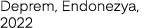 Deprem, Endonezya, 2022
