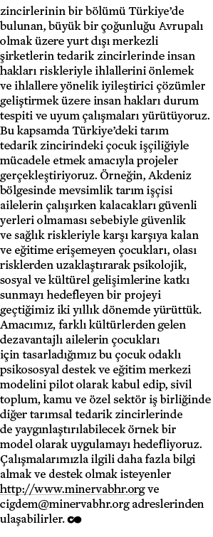 zincirlerinin bir b l m T rkiye’de bulunan, b y k bir  o unlu u Avrupal  olmak  zere yurt d    merkezli  irketlerin ...