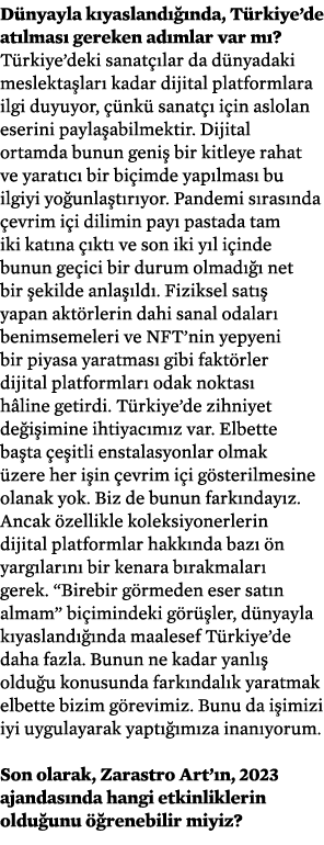 D nyayla k yasland  nda, T rkiye’de at lmas  gereken ad mlar var m ? T rkiye’deki sanat  lar da d nyadaki meslekta l...