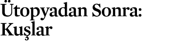 topyadan Sonra: Ku lar