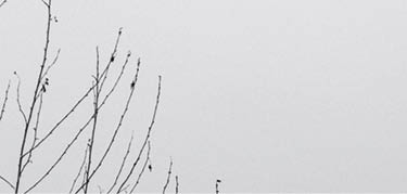 Hatay, Iskenderun, Turkey- February 6th, 2023: Turkey earthquake, kahramanmaras, gaziantep, adana, Hatay, adiyaman February 2023, earthquake scene