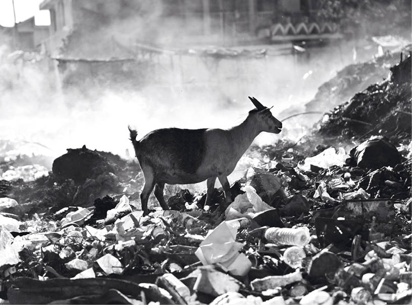 Destroyed homes in Turkey and Syria after the earthquake in 2023 