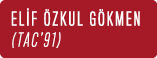 Elif ZKUL G kmen (TAC’91) 