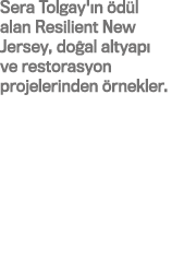 Sera Tolgay' n d l alan Resilient New Jersey, do al altyap  ve restorasyon projelerinden  rnekler.