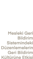 Mesleki Geri Bildirim Sistemindeki D zenlemelerin Geri Bildirim K lt r ne Etkisi