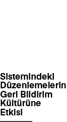  Mesleki Geri Bildirim Sistemindeki D zenlemelerin Geri Bildirim K lt r ne Etkisi,3