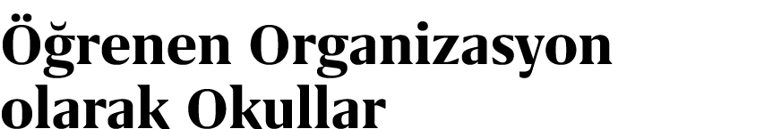  renen Organizasyon olarak Okullar