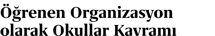  renen Organizasyon olarak Okullar Kavram 