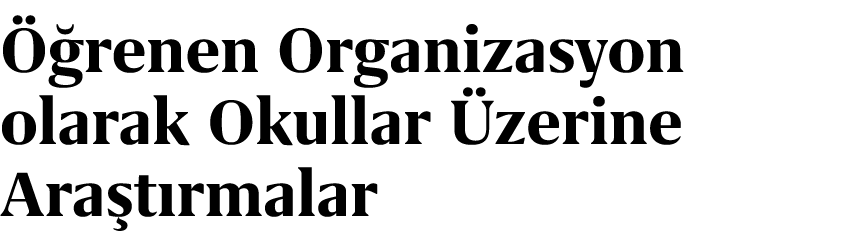  renen Organizasyon olarak Okullar  zerine Ara t rmalar
