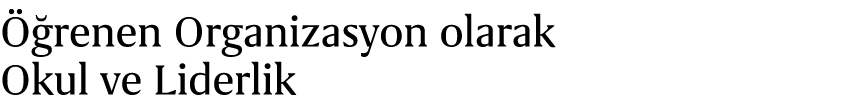  renen Organizasyon olarak Okul ve Liderlik