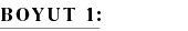 BOYUT 1: