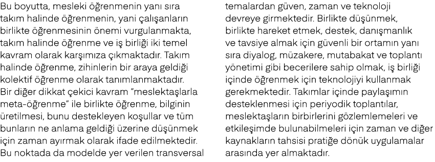 Bu boyutta, mesleki  renmenin yan  s ra tak m halinde   renmenin, yani  al  anlar n birlikte   renmesinin  nemi vurg...