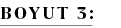 BOYUT 3: