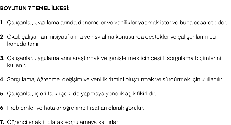 Boyutun 7 temel ilkesi: 1. al  anlar, uygulamalar nda denemeler ve yenilikler yapmak ister ve buna cesaret eder. 2. ...