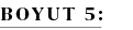 BOYUT 5: