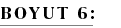 BOYUT 6: