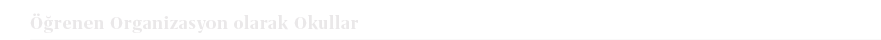  renen Organizasyon olarak Okulla