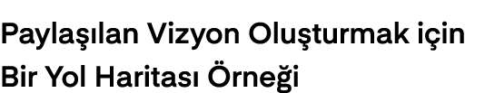 Payla lan Vizyon Olu turmak i in Bir Yol Haritas   rne i