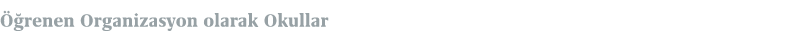  renen Organizasyon olarak Okullar