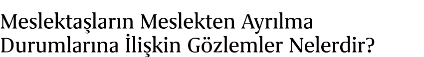 Meslekta lar n Meslekten Ayr lma Durumlar na li kin G zlemler Nelerdir?
