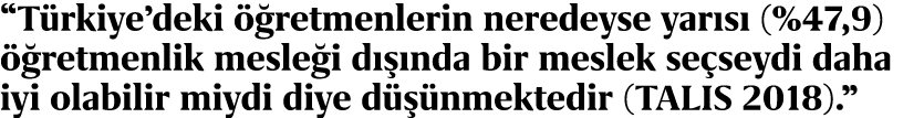 “T rkiye’deki  retmenlerin neredeyse yar s  (%47,9)   retmenlik mesle i d   nda bir meslek se seydi daha iyi olabili...