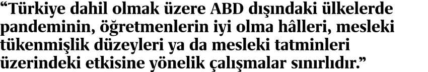 “T rkiye dahil olmak zere ABD d   ndaki  lkelerde pandeminin,   retmenlerin iyi olma h lleri, mesleki t kenmi lik d ...
