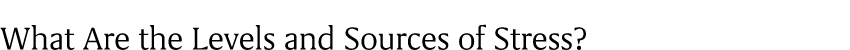 What Are the Levels and Sources of Stress?