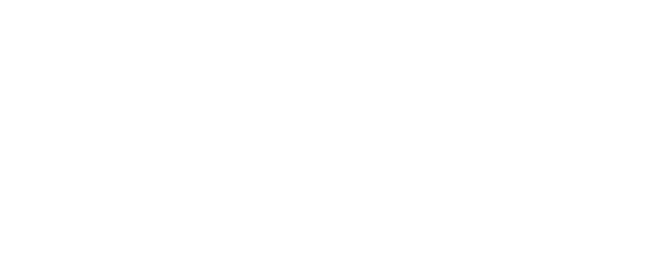 Chapter 2,What does Turkey’s data say?,Situation in Turke